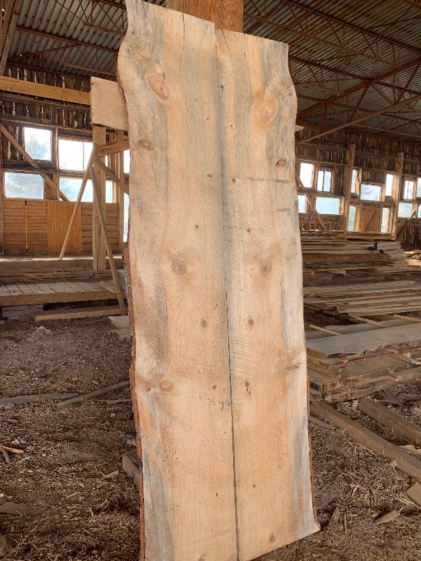 photo of book-matched beetle kill slabs